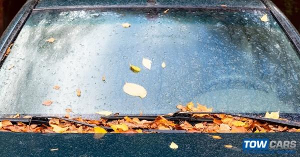 Common Car Issues During Fall